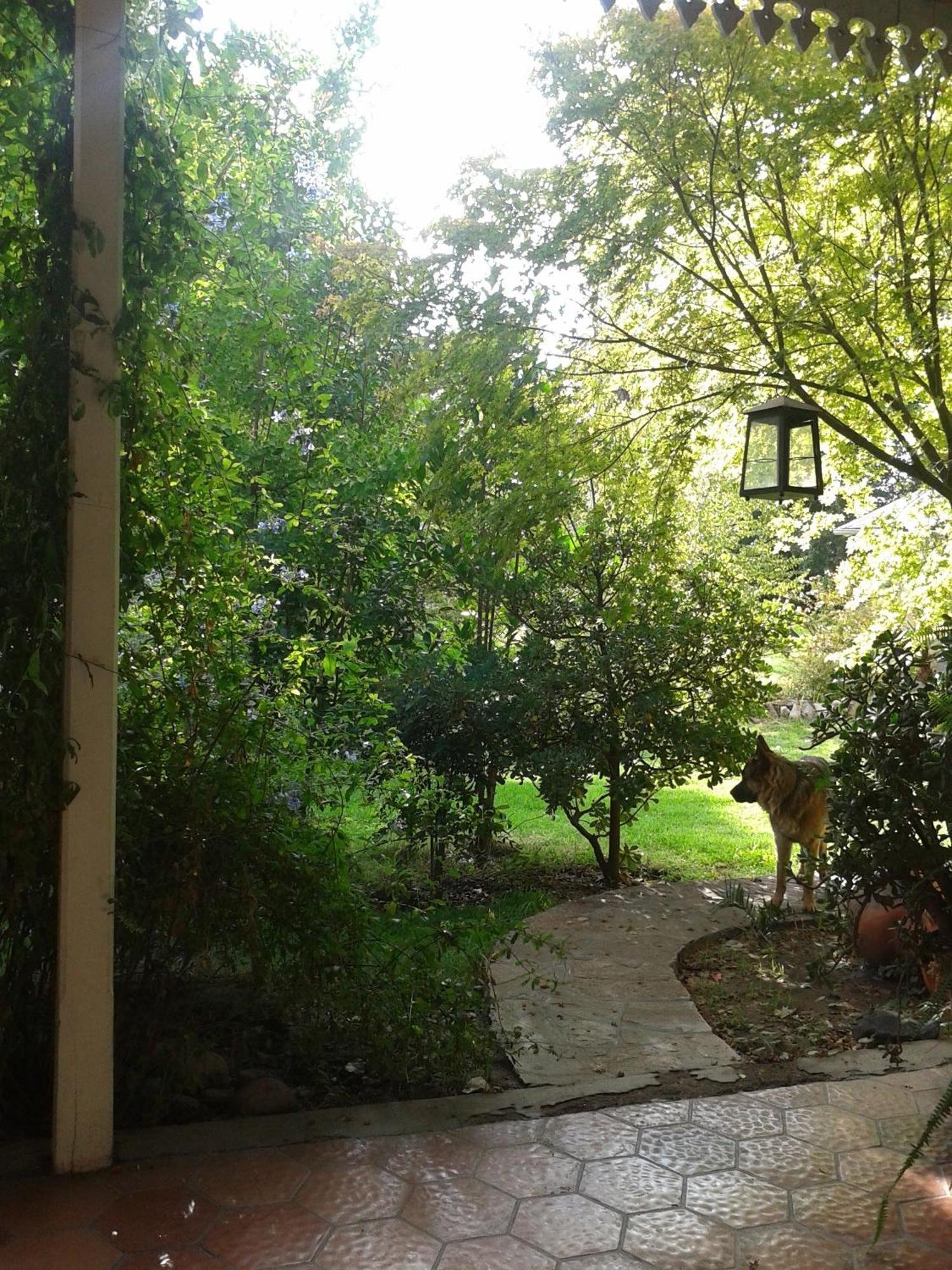 Bed and Breakfast Casco El Trapiche Ґодой-Крус Номер фото